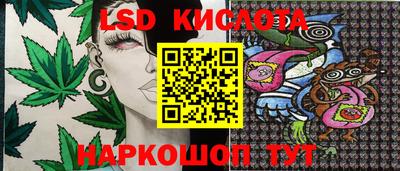 тгк Кимры