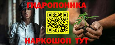 тгк Кимры