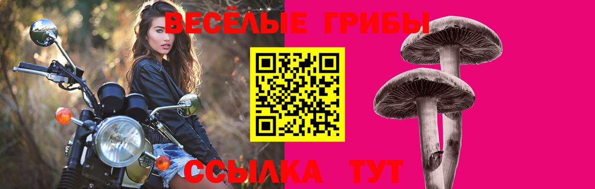Псилоцибиновые грибы мицелий  цены наркотик  Красный Сулин  Вход с VPN 